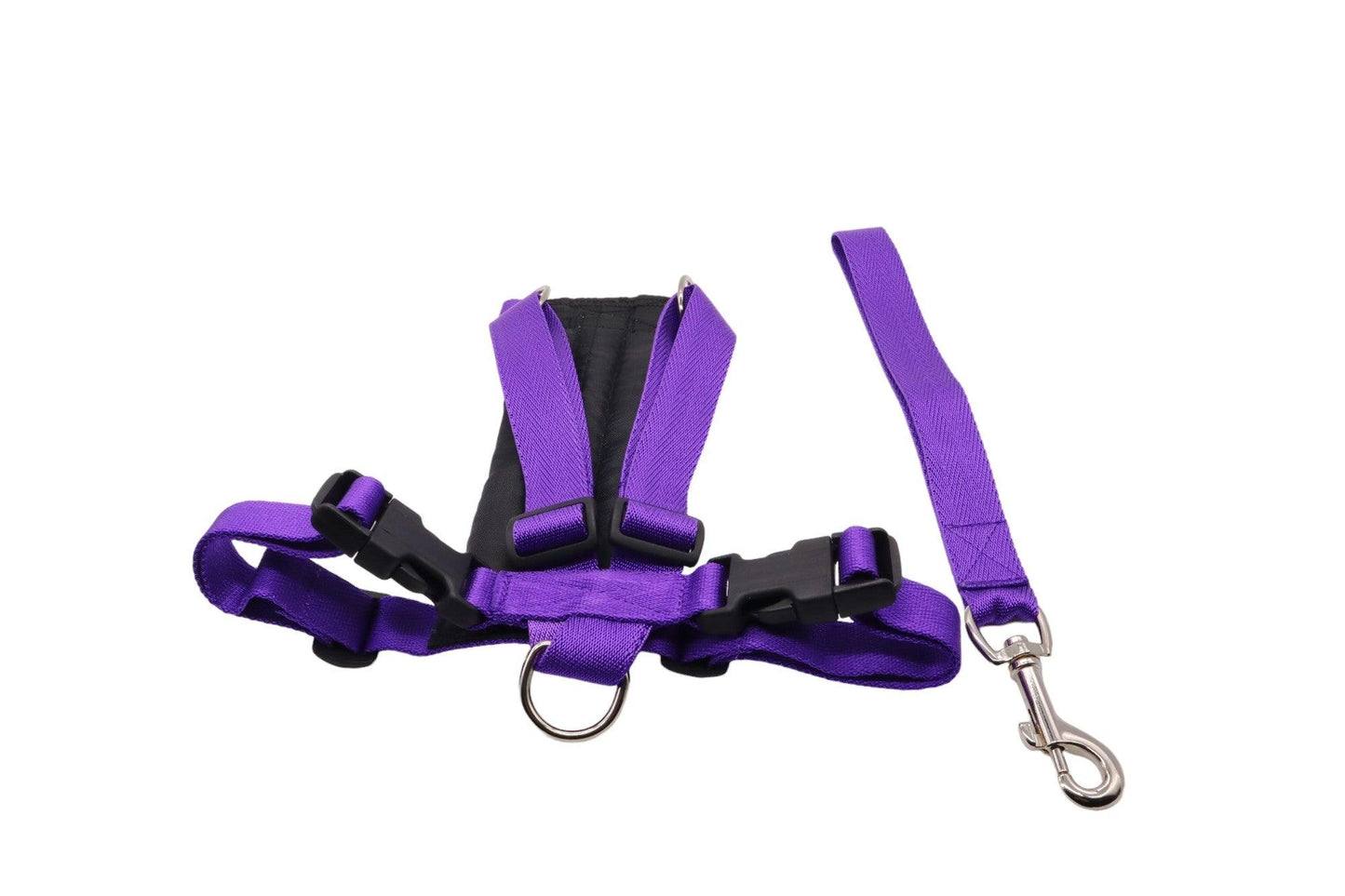 Car safety harness and handle lead with padded chest plate