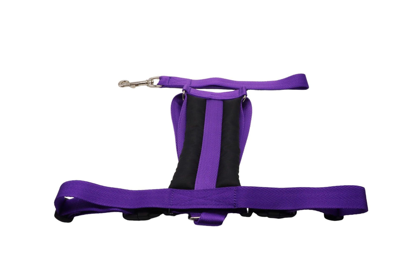 Medium size car safety harness with a matching purple lead