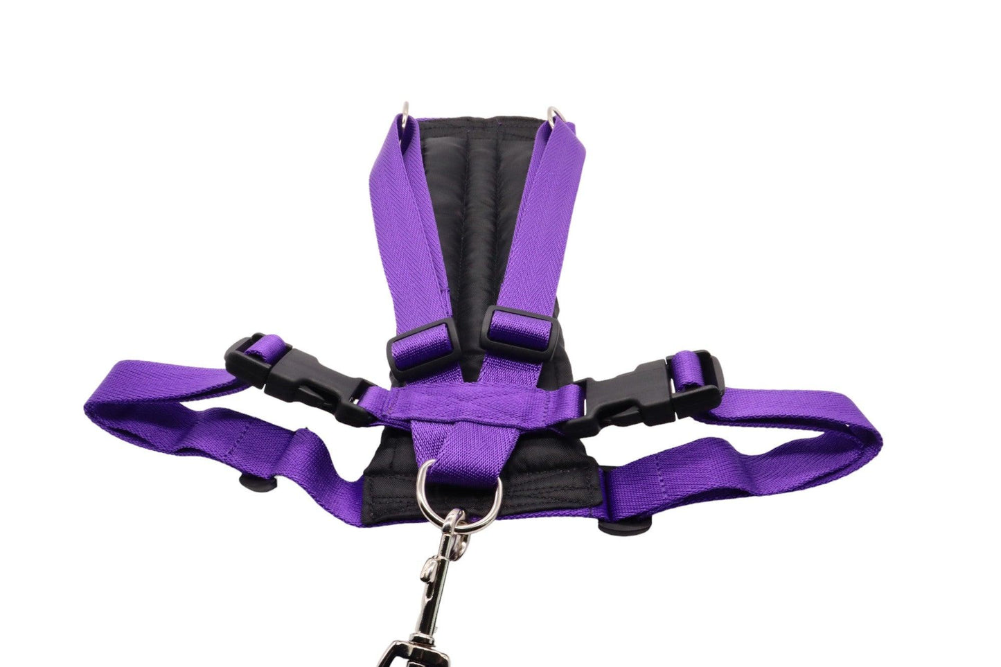 Large car safety harness in purple with a padded chest piece