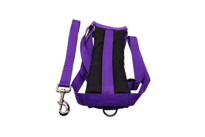 Extra large car safety harness in purple with black padding