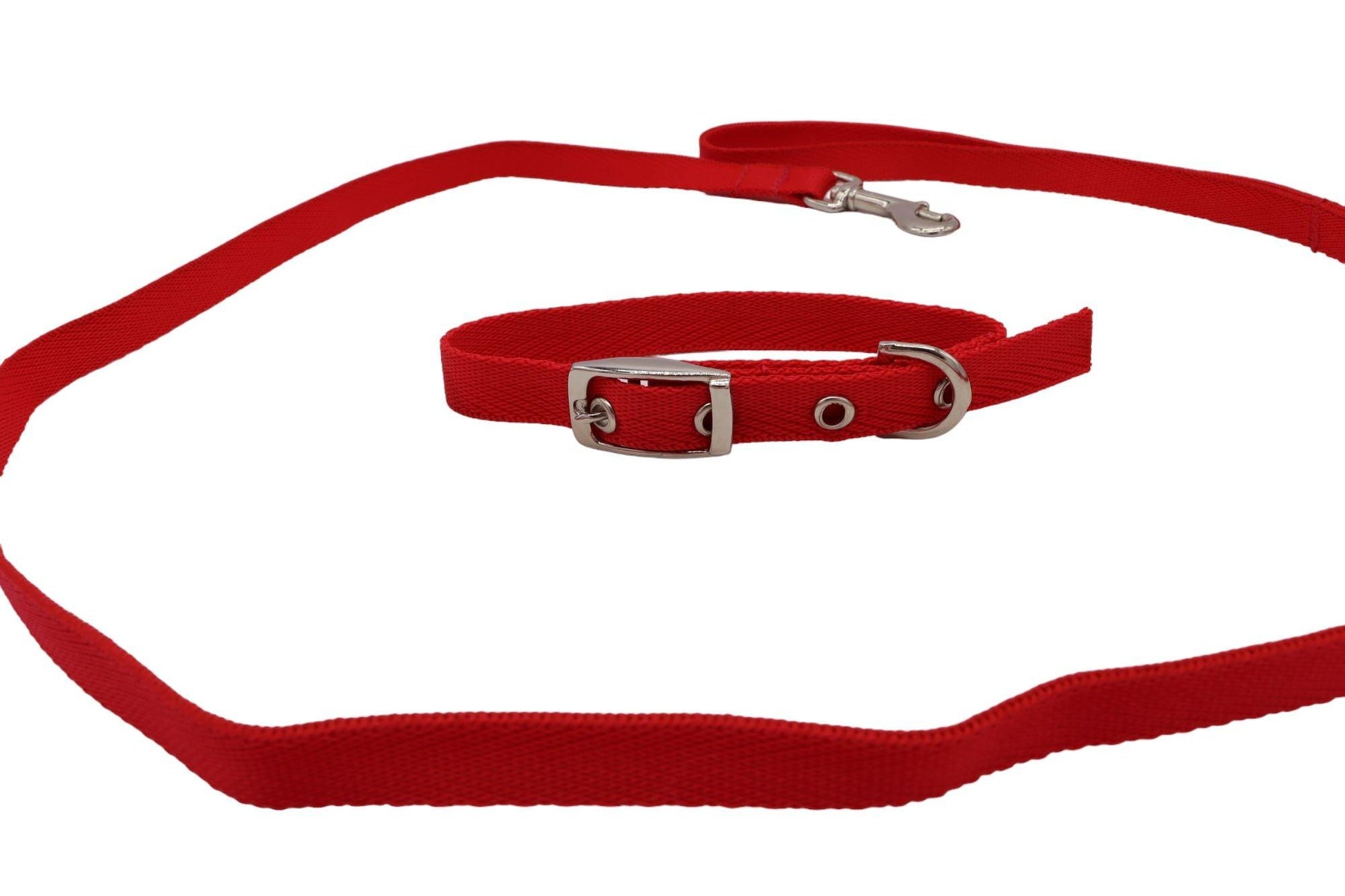 A central red puppy collar encircled with the matching lead