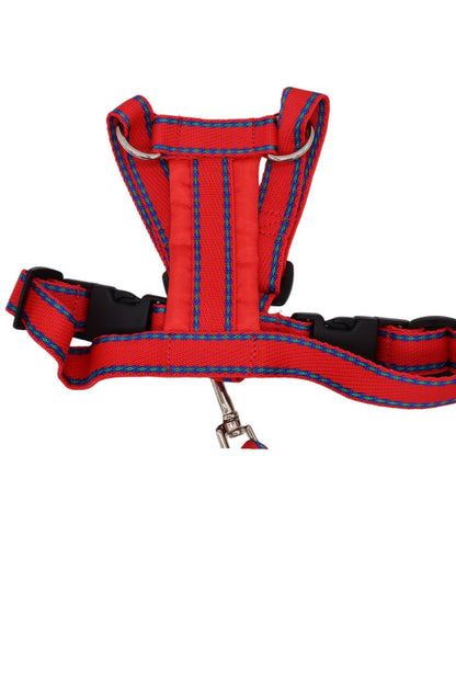 A small size A red patterned car safety harness with a short handle lead.