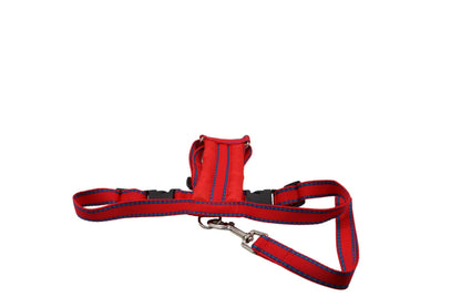 Red patterned car safety harness with a matching handled lead