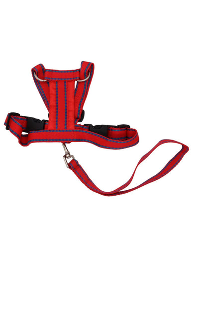 A small red patterned harness with a matching handle lead made from nylon webbing.