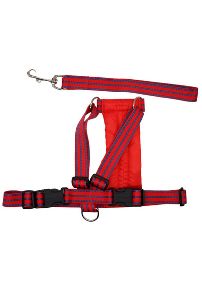 Red patterned car safety harness with nylon webbing and a cushioned padded chest plate.