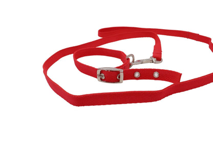 A cute red puppy collar and lead set.