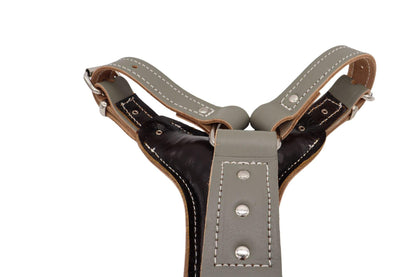 The back of our sage leather harness showing the comfortable double backed leather breast plate with padding