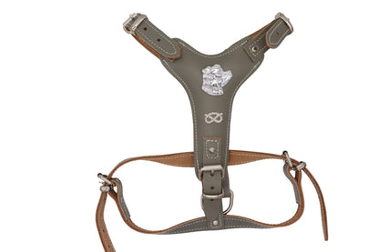 Sage green leather Dog Harness made for Staffies/blues