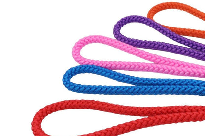 Colorful Dog Slip Leads