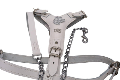 A white Staffordshire bull terrier harness with a matching leather and chain dog lead.