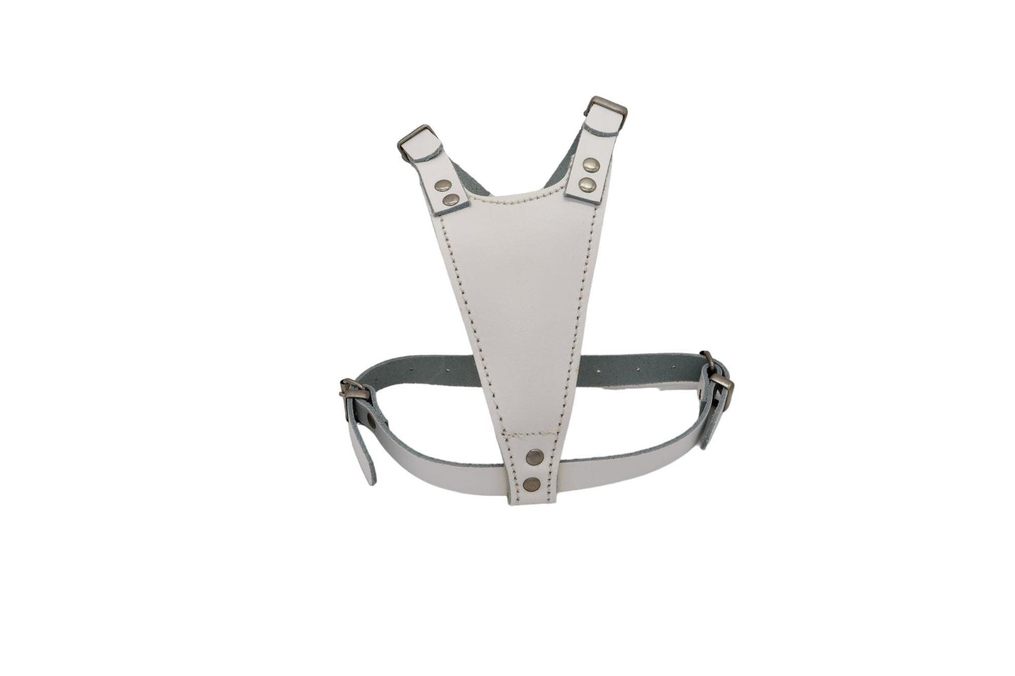 An adjustable white leather puppy harness.