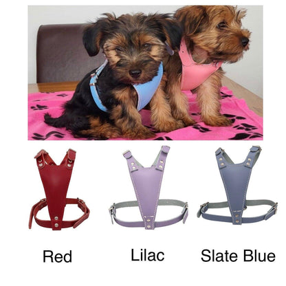 Stylish Leather Dog Harness 